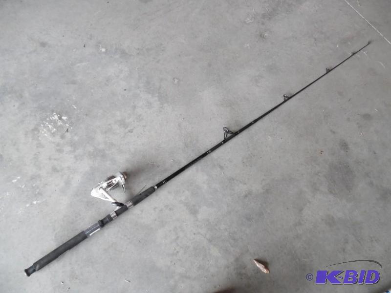 Fishing rod and reel