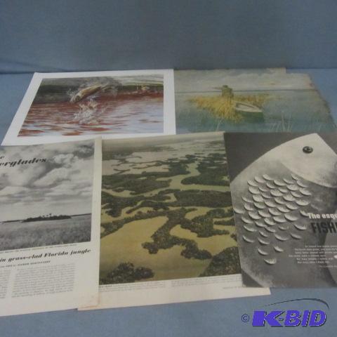 Fishing Prints