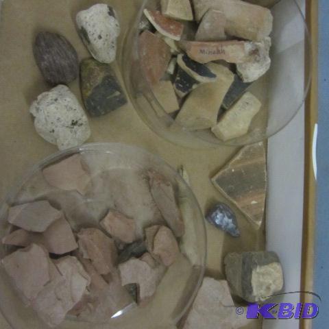 Clay, sandstone, Fossils