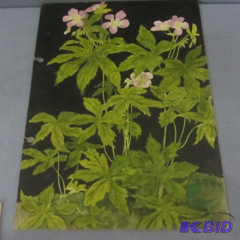 Original Floral Watercolors