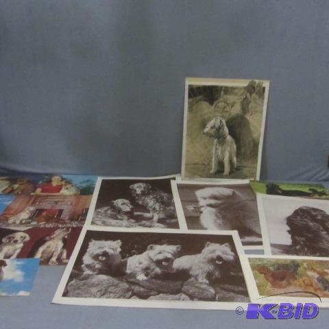 Dog Prints