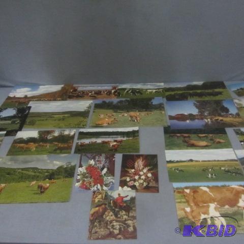 Cattle & Farmland Prints