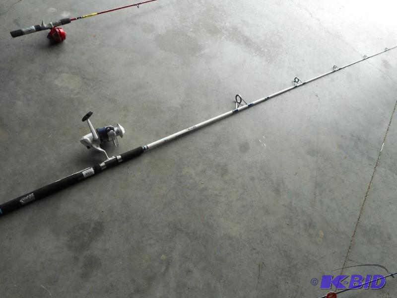 Fishing rod and reel