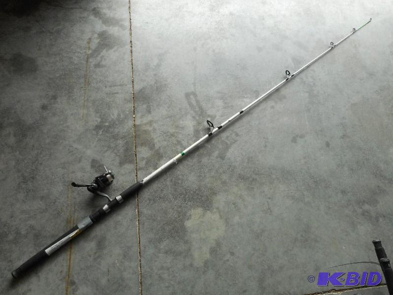 Fishing rod and reel