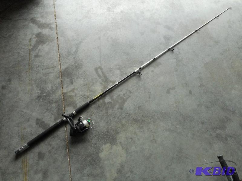Fishing rod and reel