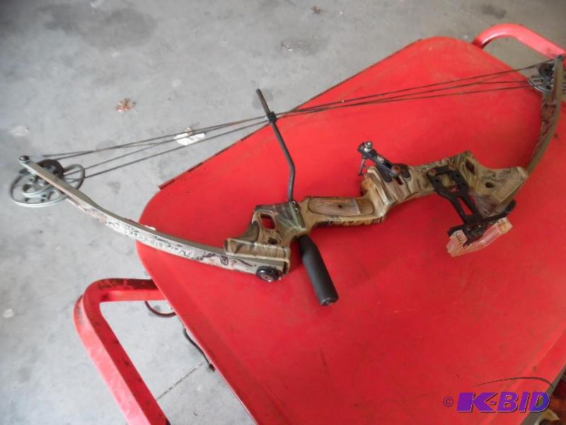 Compound Bow