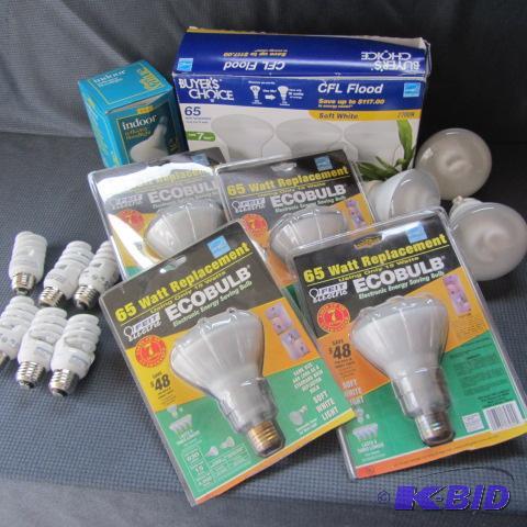 lot 47 image: Flood & Light Bulbs