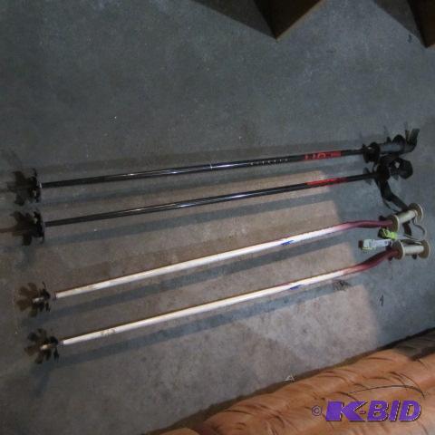 lot 74 image: Ski Poles