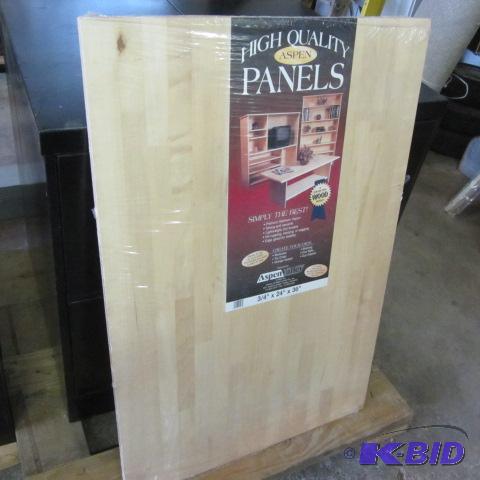 Aspen Panel, New
