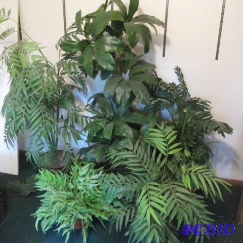 Silk & Tropical Plants