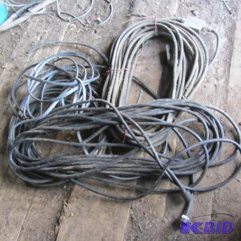 Power Cords, 110V and 220V