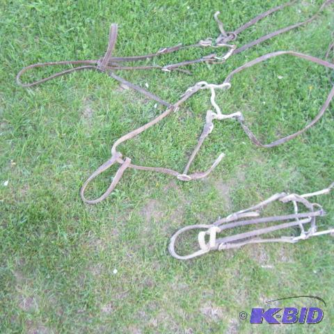Bridles