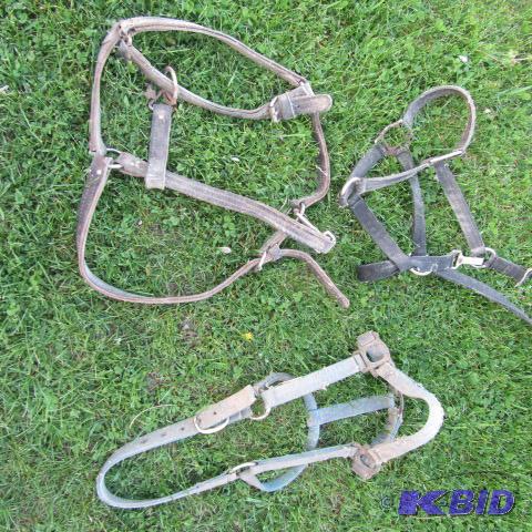 Halters