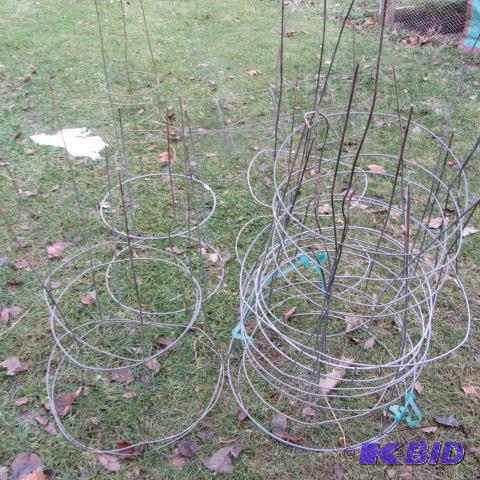 Tomato Cages