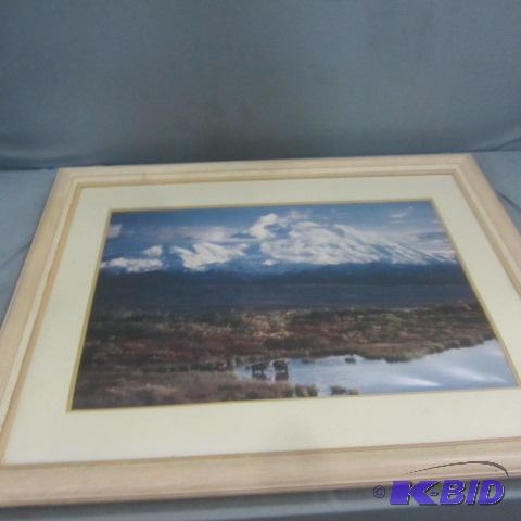 lot 53 image: Denali Ntl Park Poster