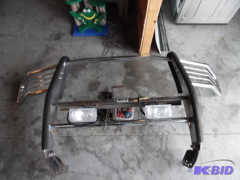Chrome brush guard