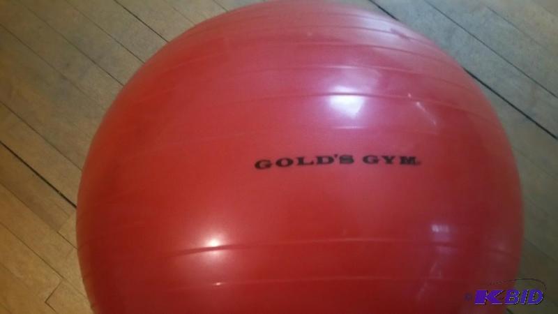 gold's gym exercise ball