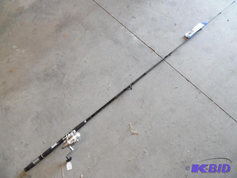 Fishing rod and reel