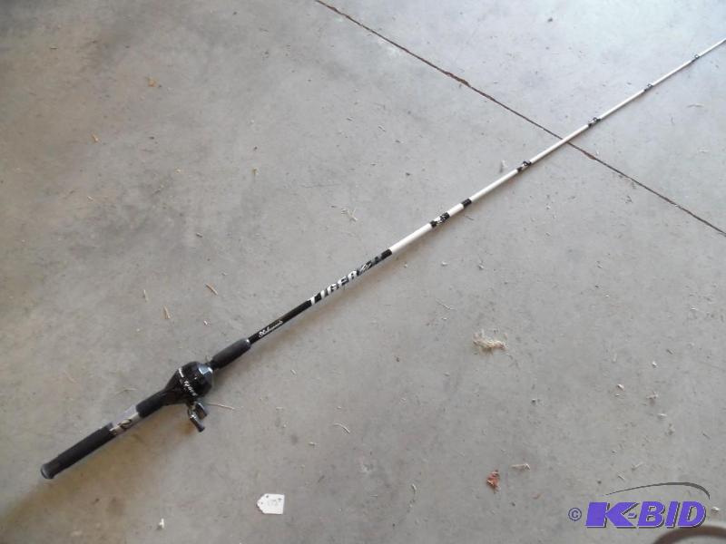 Fishing rod and reel