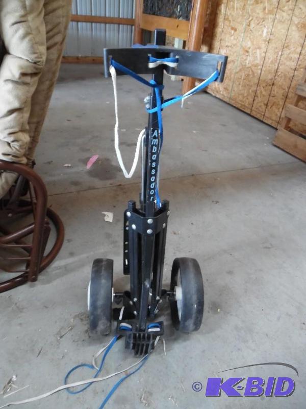Folding golf caddy