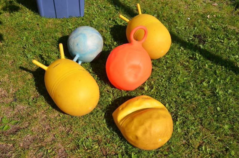 lot 219 image: Lakeshore Bouncy balls...