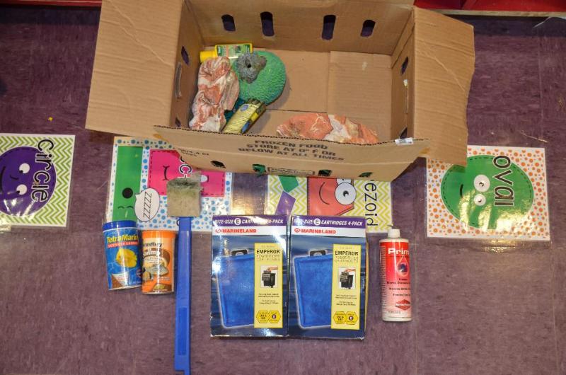 lot 231 image: Fish tank supplies, nets, rocks, food, filter...