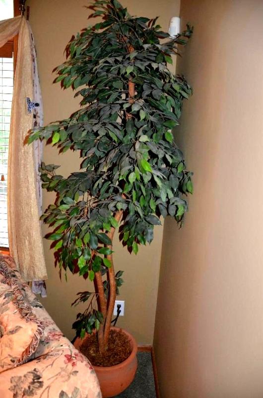 lot 173 image: Artificial House plant  tree 82" tall...