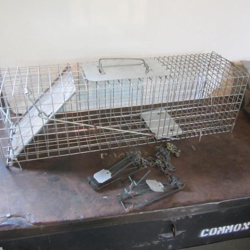 lot 106 image: Live & Spring Traps