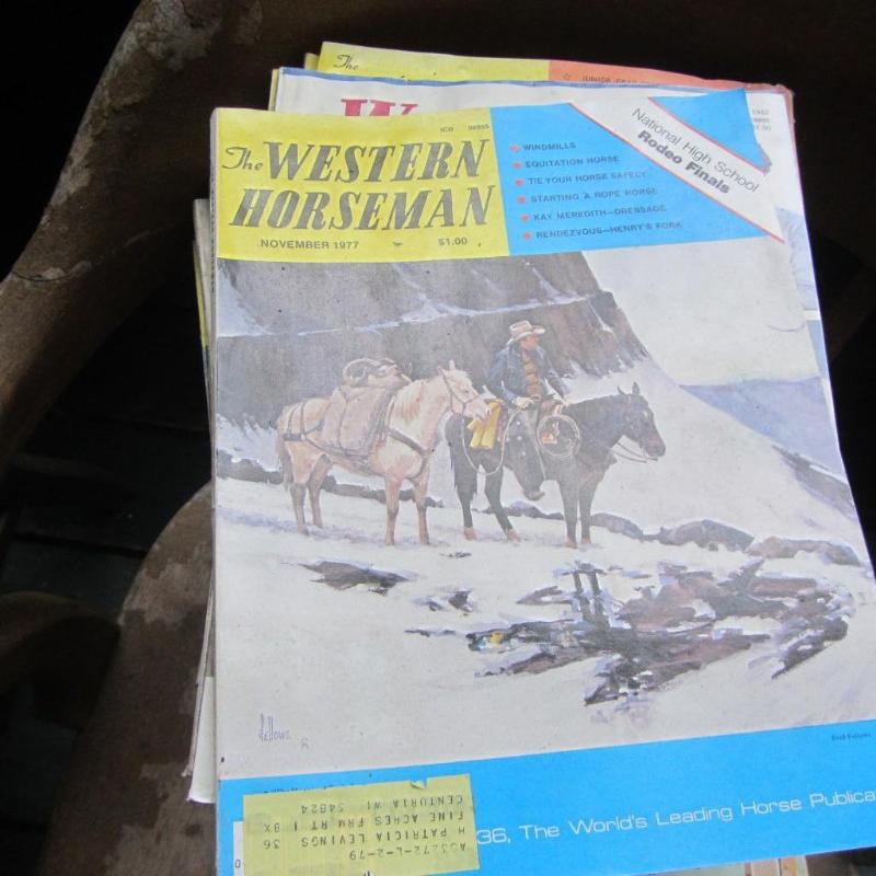 lot 163 image: Western Horseman