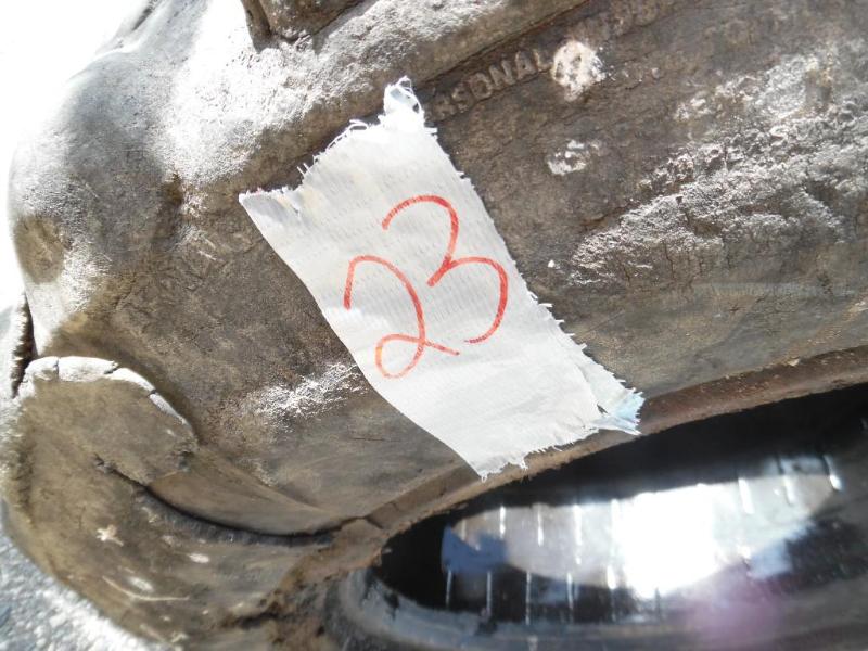 Skid loader tire