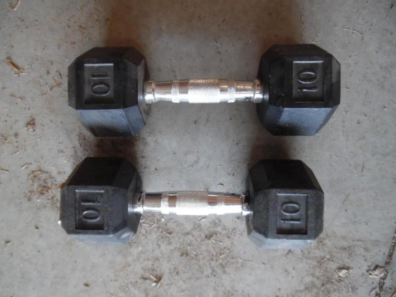 lot 16 image: Dumbells