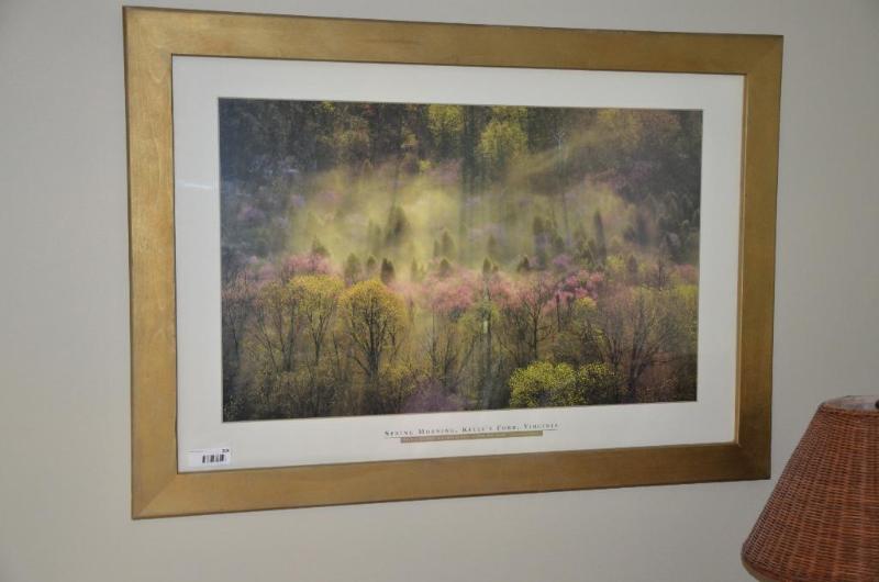 Frame picture &quotSpring Morning, Kellys F...