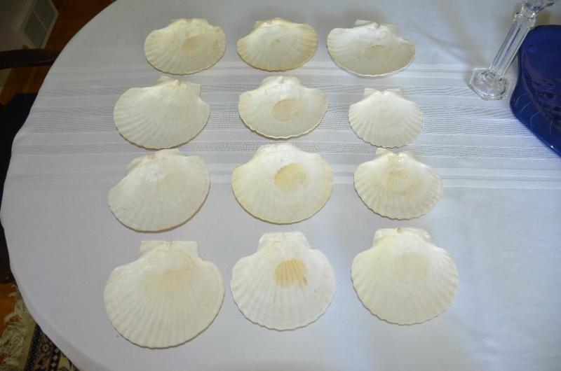 Set of 12 sea shell dishes 5&quot diameter...