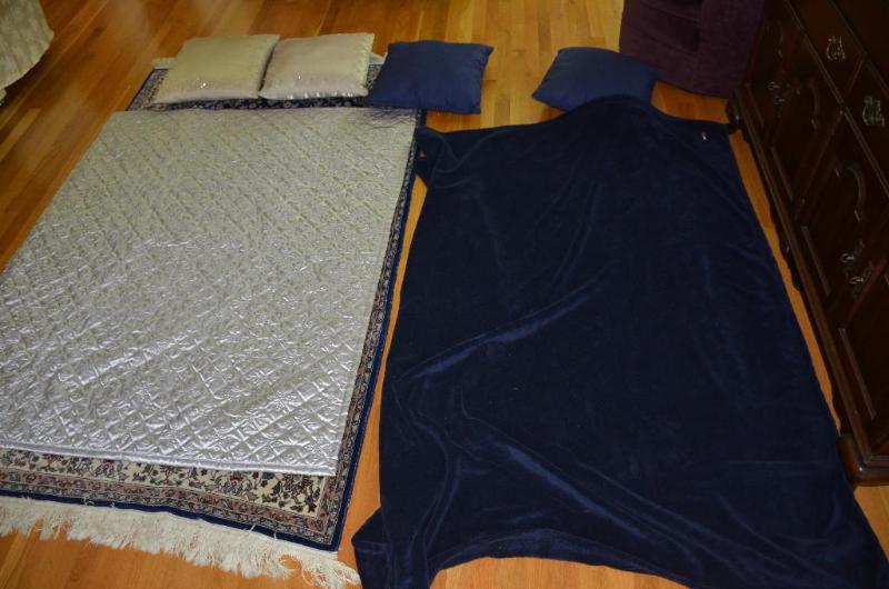 Two decorative pillows and two blanket wraps....