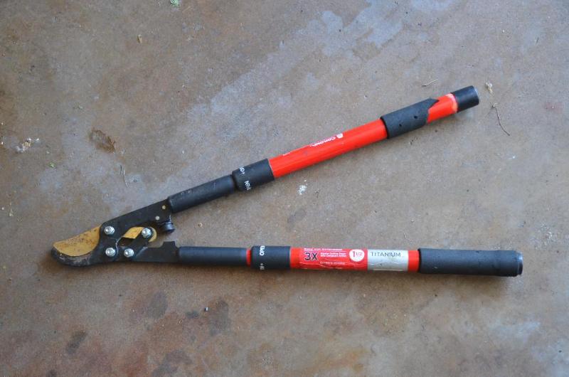 Corona extendable handle pruner...