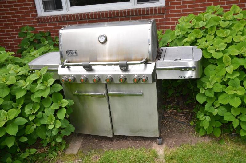 Weber Summit gas grill stainless steel in wor...