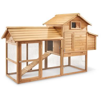 lot 35 image: CASTLECREEK Medium Chicken Coop