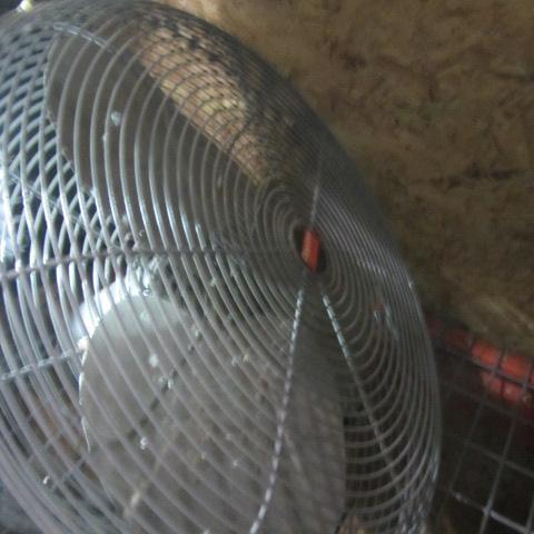 Dayton Shop Fan
