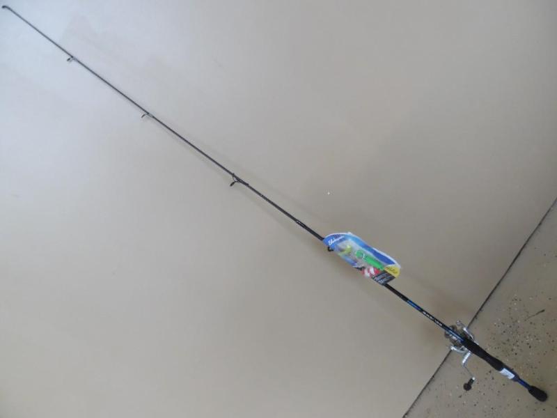 Fishing rod and reel