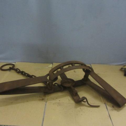 Duke Bear Trap