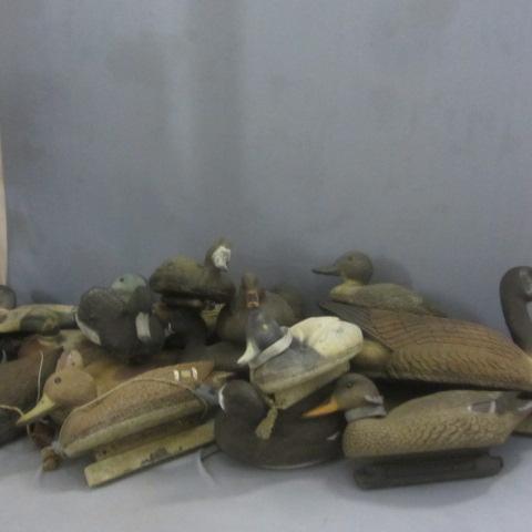 Duck Decoys