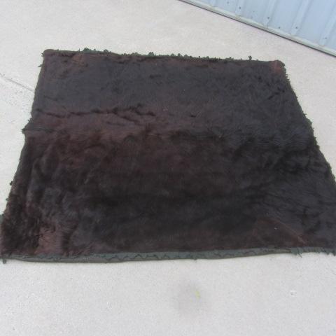 Black Bear Rug