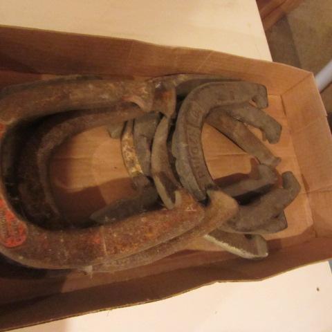 Horse Shoes