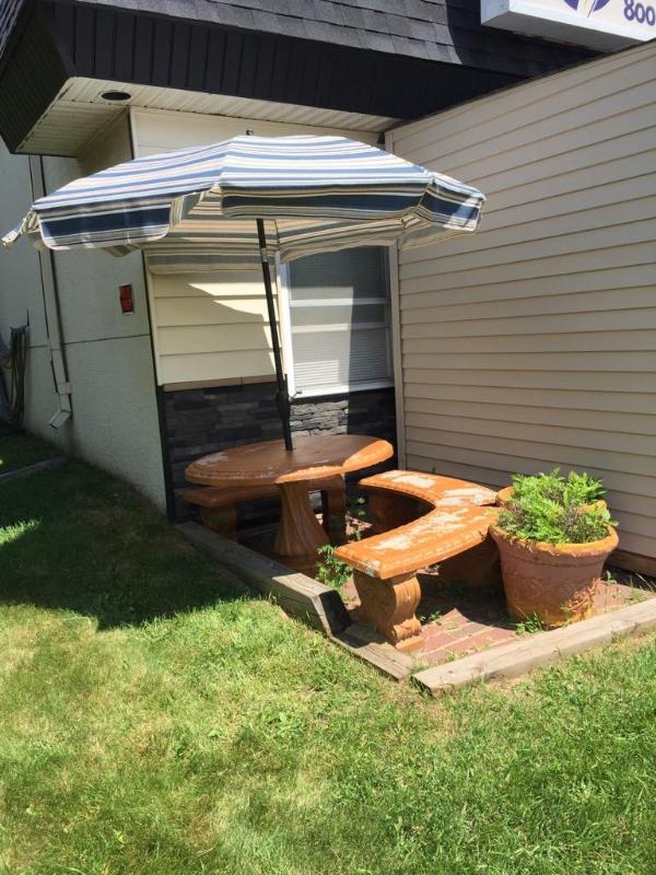 lot 142 image: 2 plants 22x17 & table 43x28 with 3 bench...