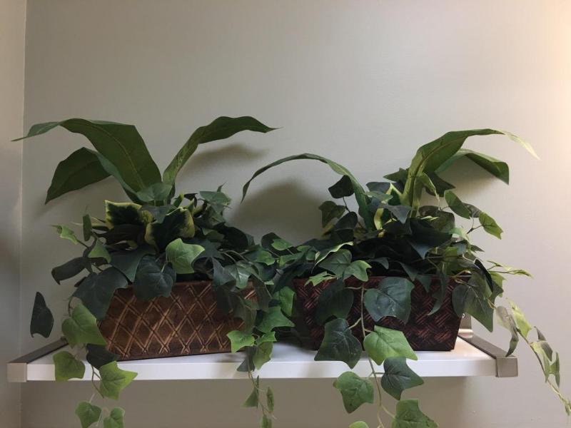 lot 151 image: Three decorative plants...