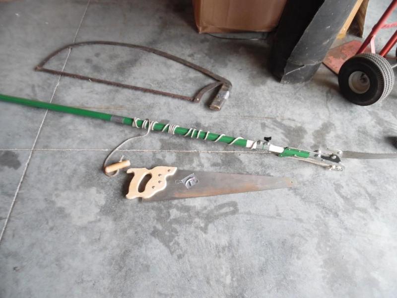 Tree Trimmer and Saws