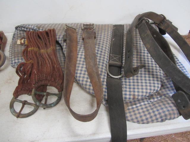 lot 402 image: Saddle Pad, Straps