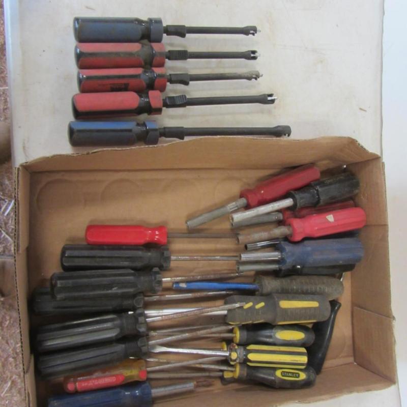 lot 42 image: Screwdrivers, Torx
