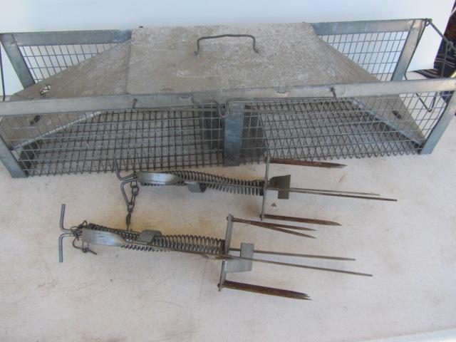 Live & Mole Traps