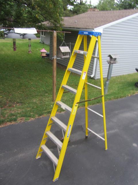 lot 19 image: Werner Step Ladder